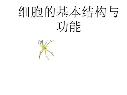 3.1 细胞的基本结构和功能2