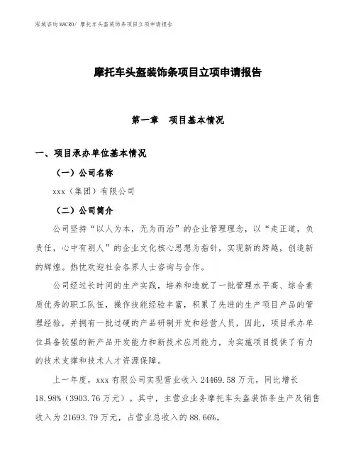 摩托车头盔装饰条项目立项申请报告