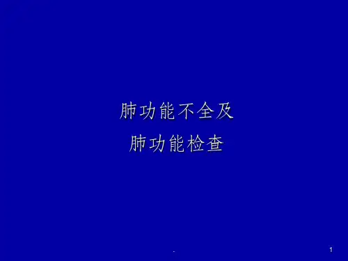 肺生理肺功能ppt课件