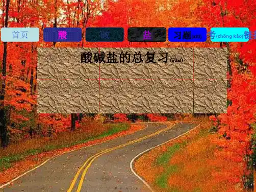 九年级化学下册《酸碱盐的总复习》课件 