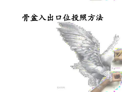 骨盆入出口位投照方法(优质档案)