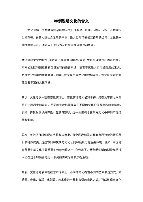 举例说明文化的含义