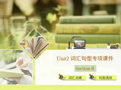 八年级上册英语Unit2SectionB词汇句型专项