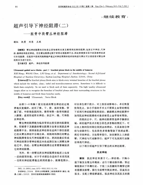 超声引导下神经阻滞(二)——肱骨中段臂丛神经阻滞