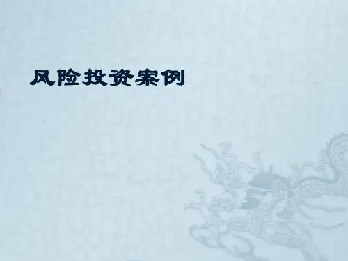 风险投资案例