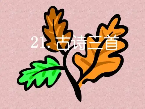 三年级语文九月九日忆山东兄弟