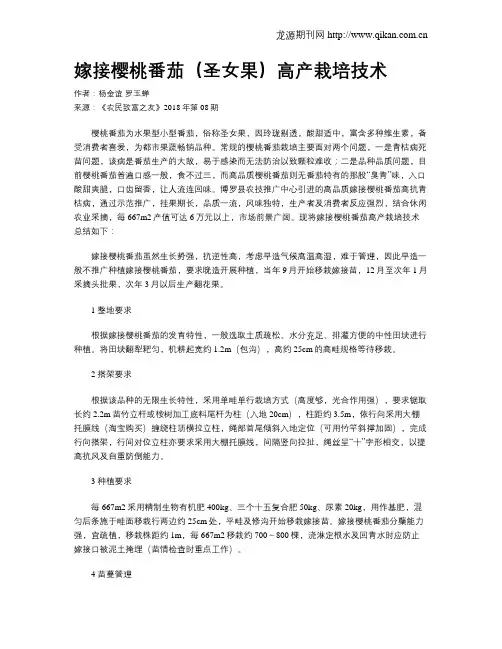 嫁接樱桃番茄(圣女果)高产栽培技术