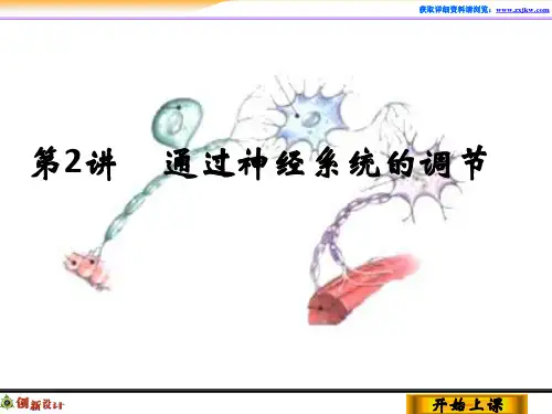 3-1-2高中生物必修三一轮复习
