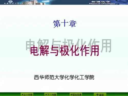 西华师范大学化学化工学院