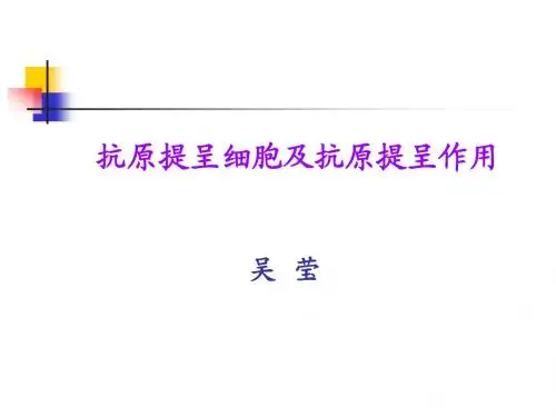 08抗原提呈细胞