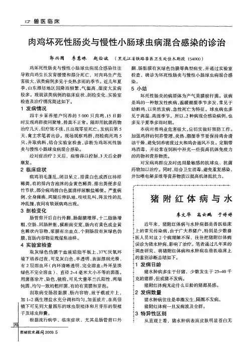 猪附红体病与水肿病的鉴别诊断