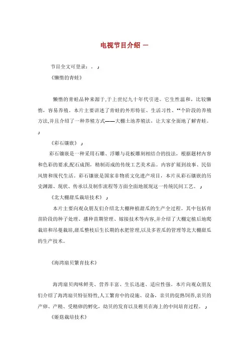 电视节目介绍