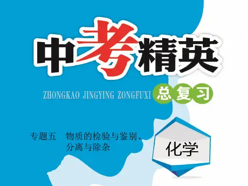 专题五 物质的检验与鉴别、分离与除杂
