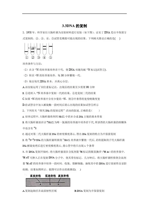 高中生物人教版(2019)必修二随堂练习：第3章3.3DNA的复制