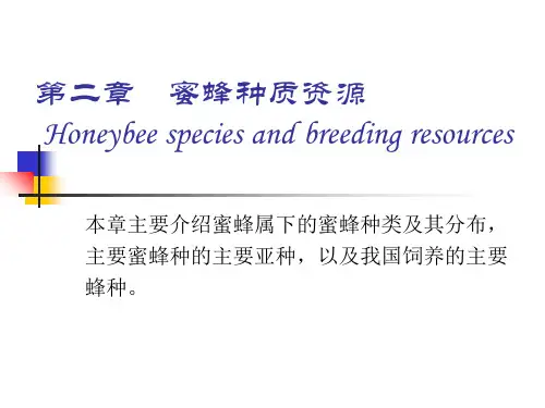 (蜜蜂学课件)2 第二章  蜜蜂种质资源