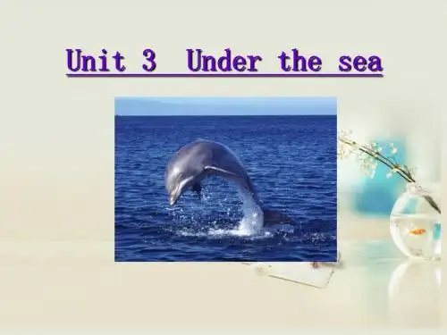 高中英语 Unit 3 Under the sea Reading阅读课件 新人教版选修7