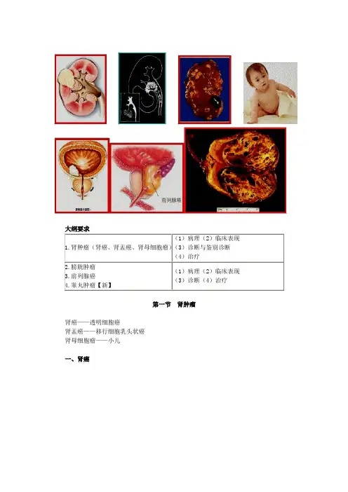  第七章 泌尿、男生殖系统肿瘤