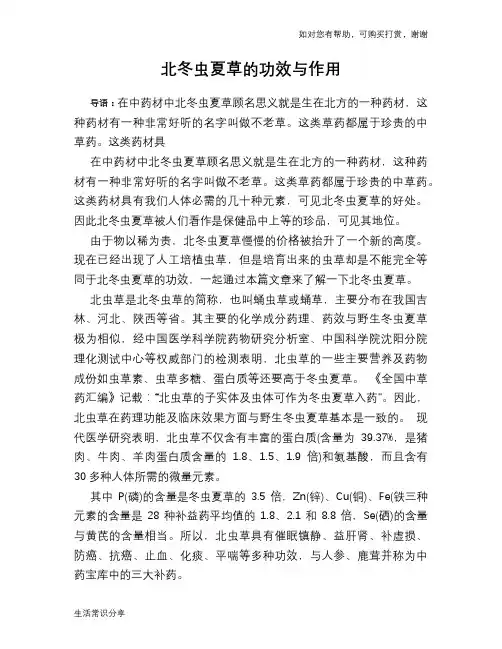 北冬虫夏草的功效与作用