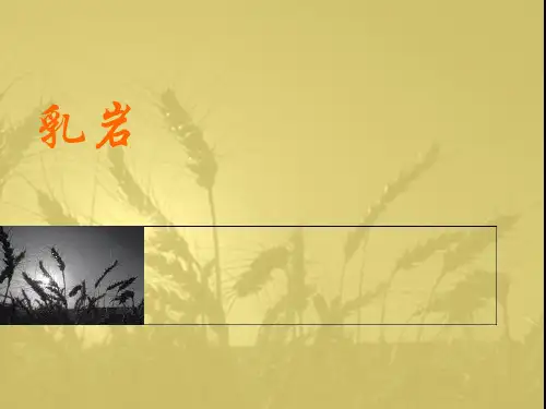 乳岩