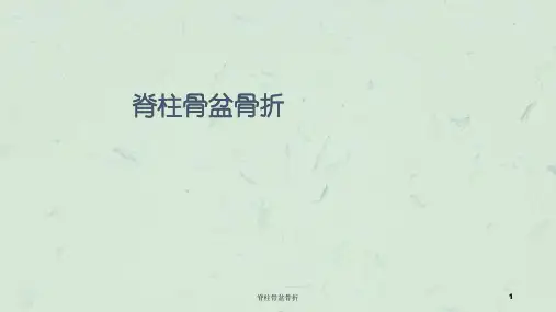 脊柱骨盆骨折课件
