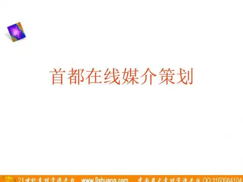 灵智大洋广告-首都在线媒介策划