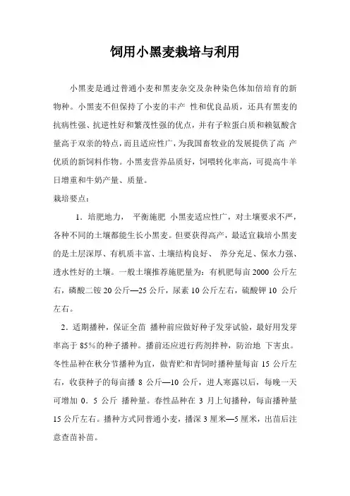 饲用小黑麦栽培与利用