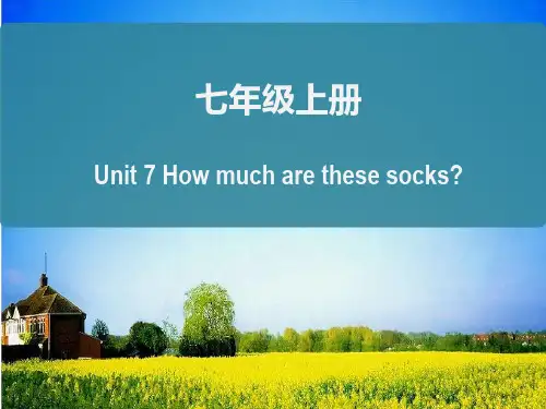 人教七年级复习Unit 7 How much are these socks？知识总结(25张)