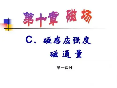 四川省攀枝花市米易中学高中物理(人教版选修3-1)教学设计:32 磁感应强度
