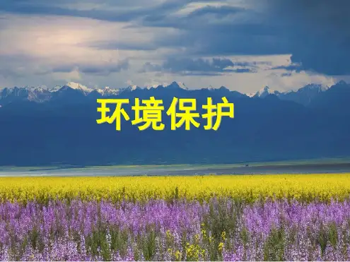 环境保护
