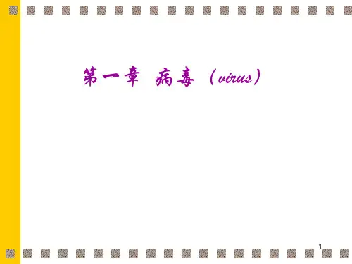 医学-一章病毒virus