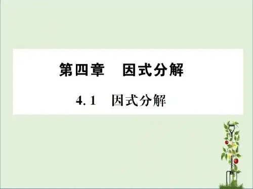 4.1 因式分解