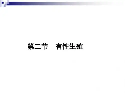 高一生物苏教版必修2课件 2.2有性生殖