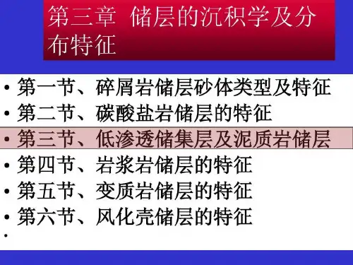 致密储层类型分析共34页文档