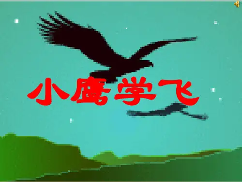 苏教版小学语文二年级上册课文8《小鹰学飞》