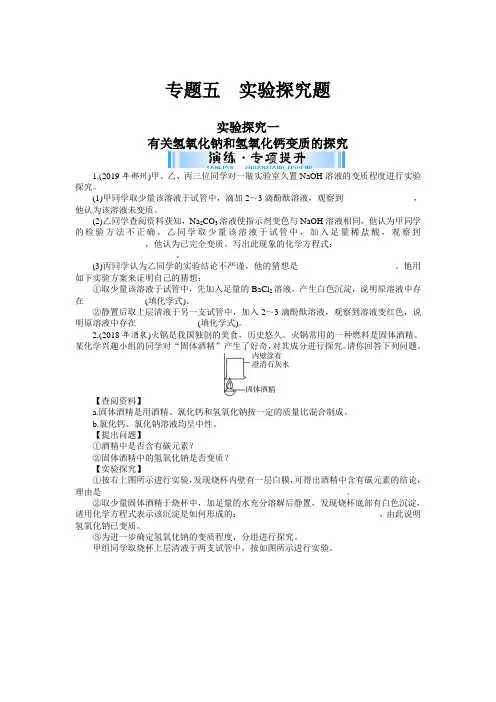 专题五 实验探究题