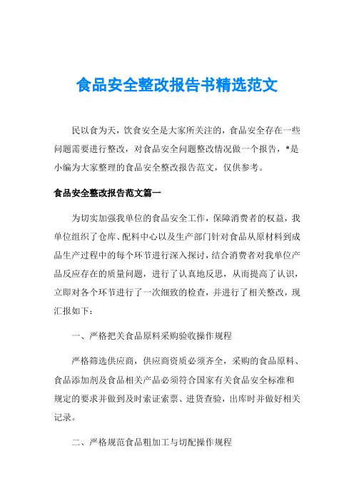 食品安全整改报告书精选范文