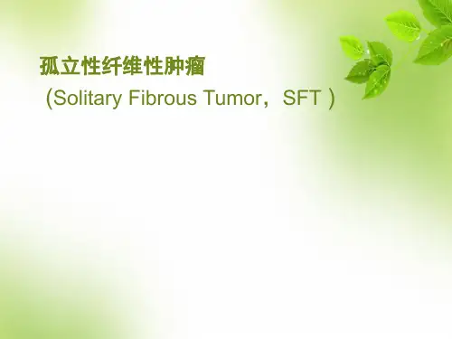孤立性纤维性肿瘤