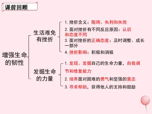 10.1感受生命的意义- 人教部编版七年级道德与法治上册课件 (共15张PPT)
