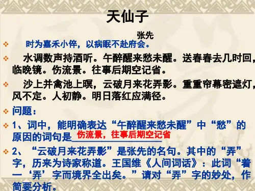 诗歌鉴赏题 天仙子 张先