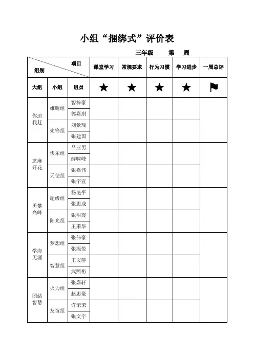 2012小组评价表
