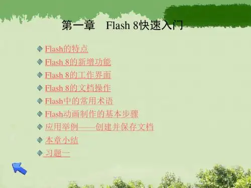 [工学]Flash电子教案第01章