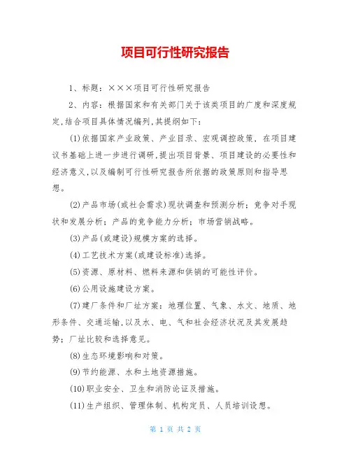 项目可行性研究报告