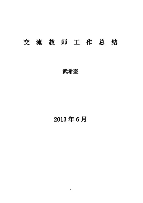 交流教师工作总结 2