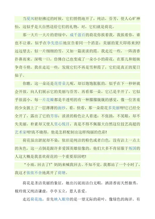 描写荷花的文章