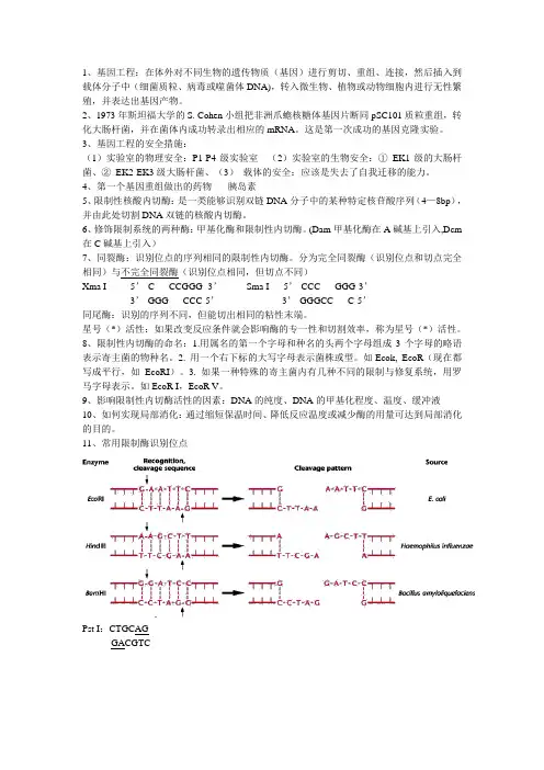 基因工程 2