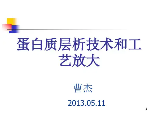 蛋白纯化层析技术和工艺放大PPT精选文档