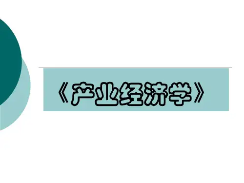 产业经济学课件 