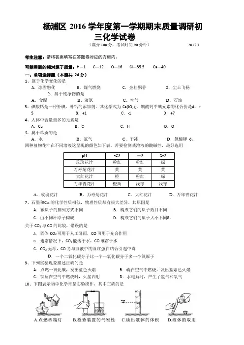 上海市2017杨浦区初三化学一模试卷(含答案)