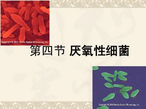 破伤风