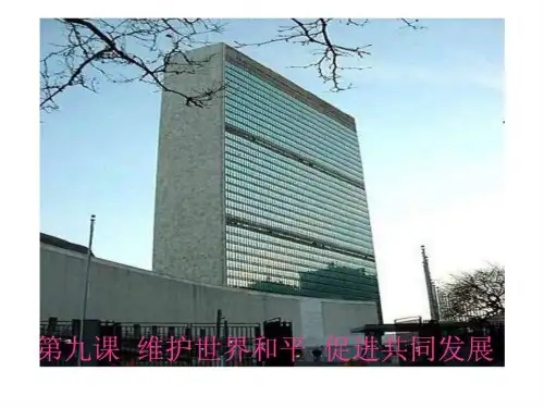 和平与发展:时代的主题.ppt